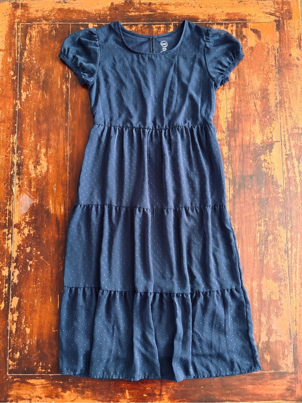 Wonder Nation Navy Swiss Dot Dress, XL (14-16) PLUS